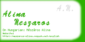 alina meszaros business card